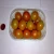 Import tomato for sale from Egypt