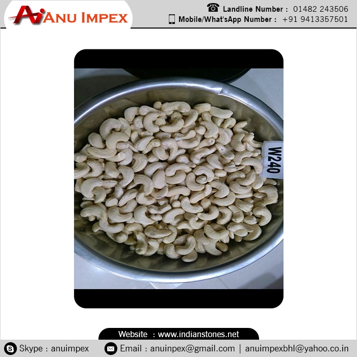Top Grade Dried Cashew Nut SW 320 at Best Price