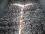 Top quality portland cement CEM II 32.5 - 42.5 According to EN 197-1 from Viet Nam for construction.. (Color: grey, white)