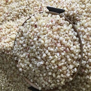 Top Quality White Sorghum For Sale In Europe