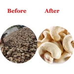 UDYG-7 Raw Cashew Nut Processing Line Cashew Kernel Processing Machine