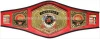 Universe Ring Championship Belt Custom for Wrestling Kick Boxing