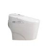 Washlet Toilets Electric Toilet Seat Bidet Toilet For Kohler High Quality Smart Bidet