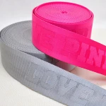 Webbing Manufacturer Custom Logo Heavy Nylon Webbing With Competitive Price