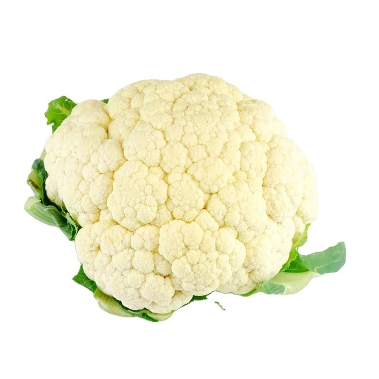 White Cauliflower Green leaf Vegetatables Fresh  High Quality Cualiflower