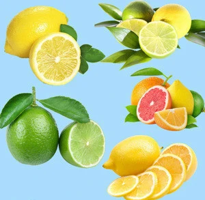 Whole Seller of Fresh Lemon