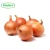 Wholesale chinese fresh yellow onion hot selling with market price