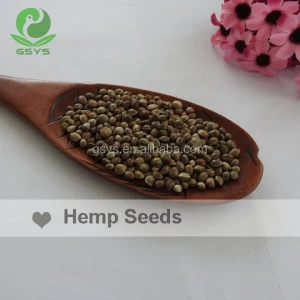 Wholesale Chinese hemp seed for planting with hemp seeds
