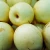 Import Wholesale Fresh Pear / Pear Fruit Price from China