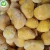 Import Wholesale High Quality  IQF Frozen Chinese Peeled Chestnut from China