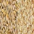 Import Wholesale Hulled Oats/ Oats Grains ,Rolled Oats for sale from Germany