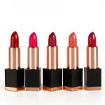 Wholesale Korean Private Label Vegan Long Lasting Matte Lipstick