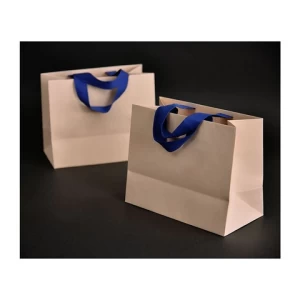 Wholesale Price  High-Quality Customized Foldable Shopping Paper Bags With Your Own Logo