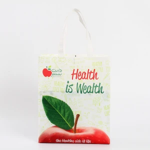 Wholesale Printed Eco Friendly Recycle Reusable PP Laminated Non Woven Tote Handle High Quality Shopping Bag