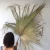 Import Wholesale simple wedding decor dried flowers heart shape palm leaf natural palm spear for decorative from China