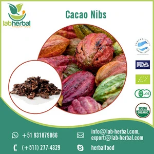 Widely Selling Organic Cacao Nibs/ Cocoa Beans