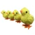 Import Wind-Up Novelty Jumping Chicken Party Favor Toy Easter Baby Bird Yellow Chick Decoration Jumping Animal from China