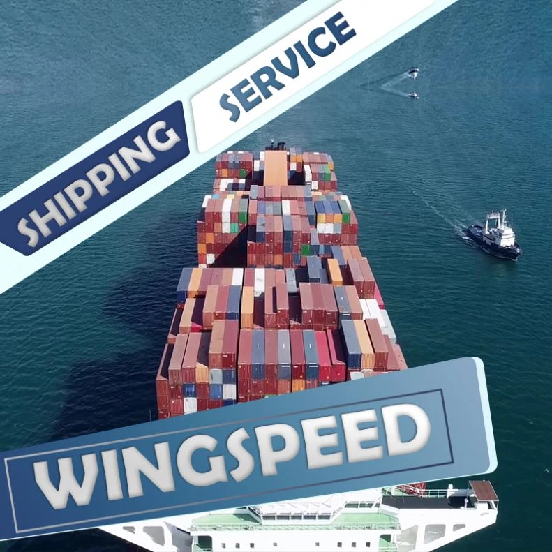 wingspeed Logistics agent service----Skype:bonmedjoyce