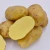 Import Yellow potatoes fresh  for sale China Bulk potato from China