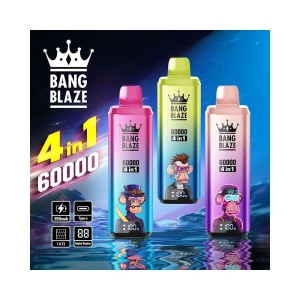 Factory Direct Wholesale from Shenzhen China | Bang Blaze 60000 4in1 60K DSK050 | Reliable Shipping Global Partners