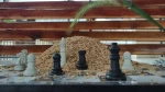 Raw Rice Husk/Hulls