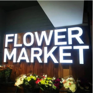 Custom 3D Laser-Cut Acrylic Front-Lit Channel Letters