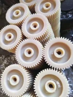 Customizable Nylon Gears – Wear and Corrosion Resistant