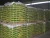 Import ORGANIC FERTILIZER 501 from China