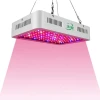 horticulture led grow lights for greenhouse growing 1000 watt led grow light for indoor plant