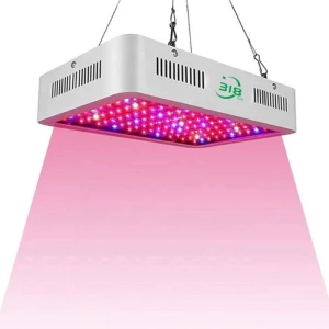 horticulture led grow lights for greenhouse growing 1000 watt led grow light for indoor plant