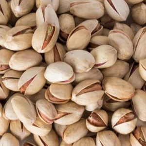 Super Quality Iranian Pistachio Nuts in Wholesale Price