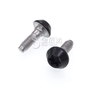 PVD Coating Screw Supplier | Torx Oval Head PVD Coating Screw | PVD Coating Screw for Refrigerator