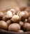 Import Roasted Macadamia Nuts/Roasted & Salted Macadamia Nuts/Macadamia Nuts from Vietnam
