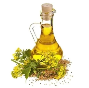 Refined Rapeseeds Oil