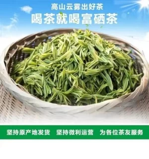 Wholesale Factory Price China Enshi Yulu Level 1 Green Tea Bulk Fancy packing