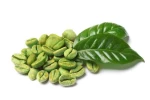 Green Coffee Beans