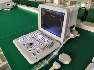 Portable black and white ultrasound scanner