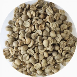 Wholesale AA Arabica Coffee Beans Washed and Dried Yunnan Arabica Green Coffee Beans