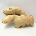 Direct From Farm Bulk Fresh Ginger High Quality Natural Premium Fresh Ginger For Wholesale