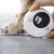 Import GemRed Smart Tape for Pets--Accurately Measure Your Kitten, Rabbit, or Puppy's Body from China