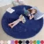 Import Thick Fluffy Faux Fur Washable Rug, Shag Carpet Rugs for Nursery Room from China