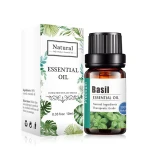 Kanho Basil Essential Oil Factory Direct Private Label Wholesale Price Perfume Aromatherapy High Quality Essential Oil