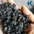 Import Palm Kernel Shell from Indonesia
