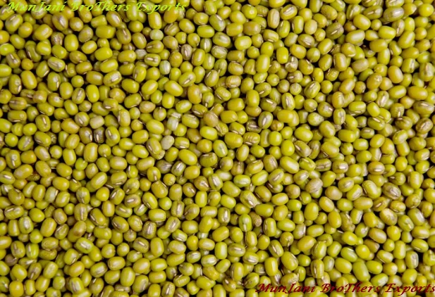 Mungw Buy Mung from MunJani BroThers Exports, India | Tradewheel.com