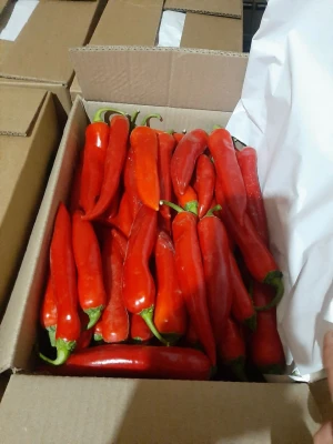 red chilli  red chillies