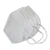 Import KN95 PARTICULATE RESPIRATOR from China