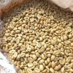 Indonesia Green Robusta Coffee Beans