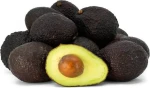 High Quality Fresh Avocado Wholesale