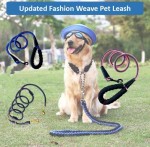 High Quality Updated Fashion Weave Pet Leash