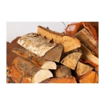 Premium hornbeam logs supplied in bulk for furniture and flooring industries